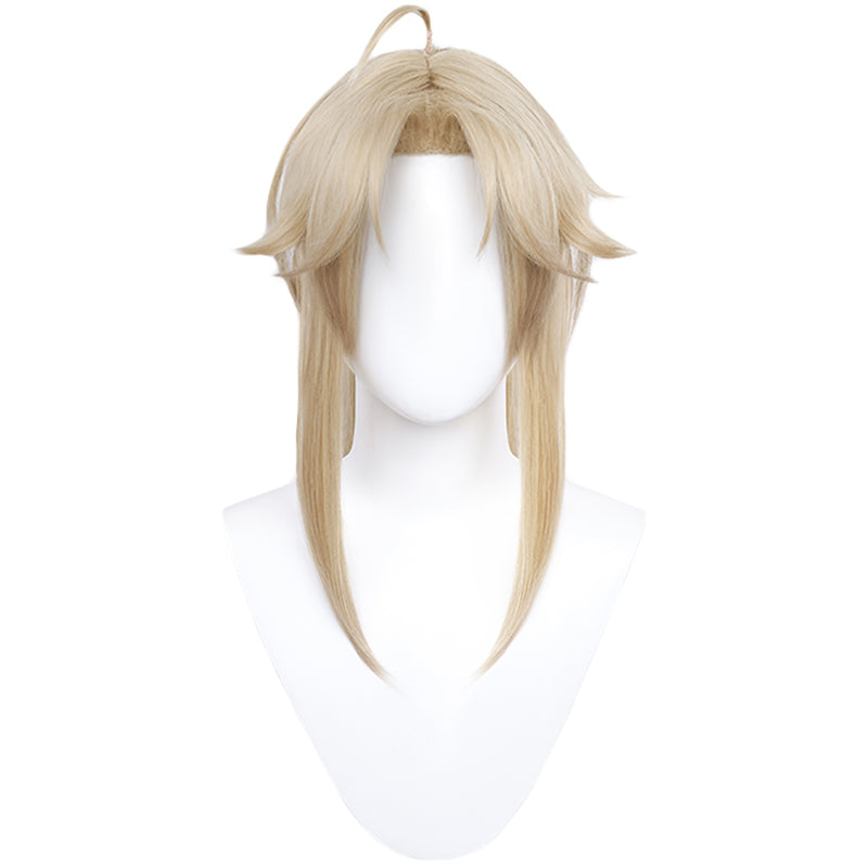 【Ready For Ship】DokiDoki Game Honkai: Star Rail Cosplay Yanqing Cosplay Wig Long Silver/ Ear Clip Yan Qing
